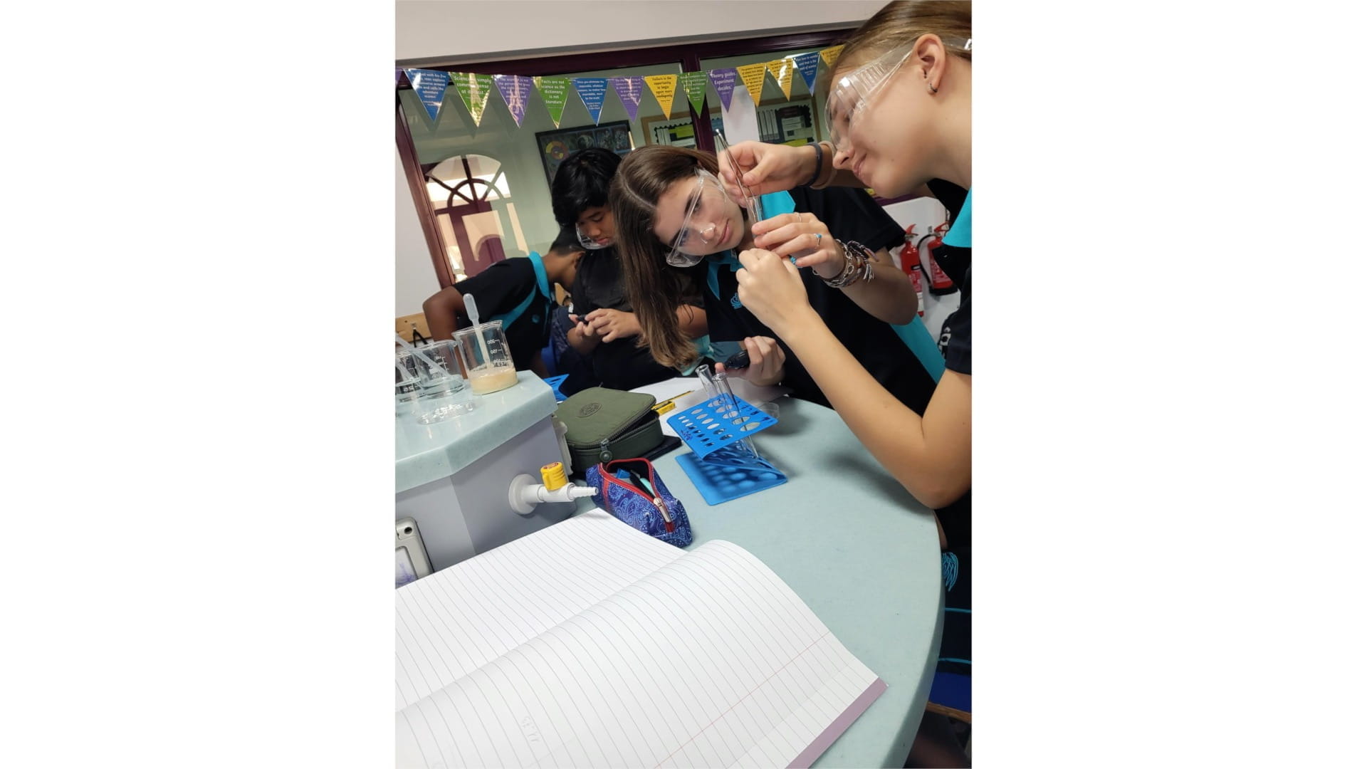 Year 9 Biology Enzyme Action - Year 9 Biology