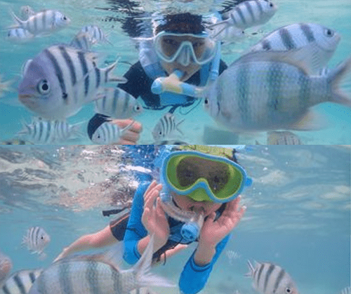 Summer Competition Winners - Carousel For News Detail