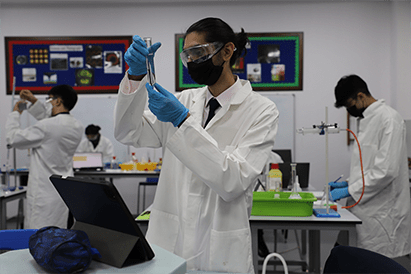 Year 13 Chemistry Investigation - Carousel For News Detail