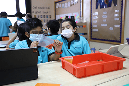 Year 6 Science Experiment - Carousel For News Detail