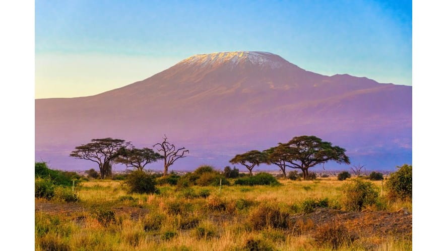 Mount Kilimanjaro Challenge - mount-kilimanjaro-challenge