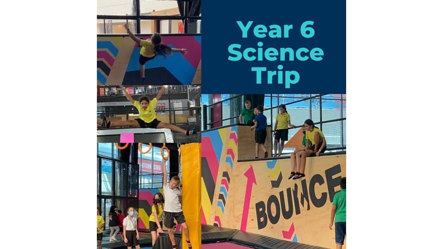 Year 6 Bounce Trip - year-6-bounce-trip