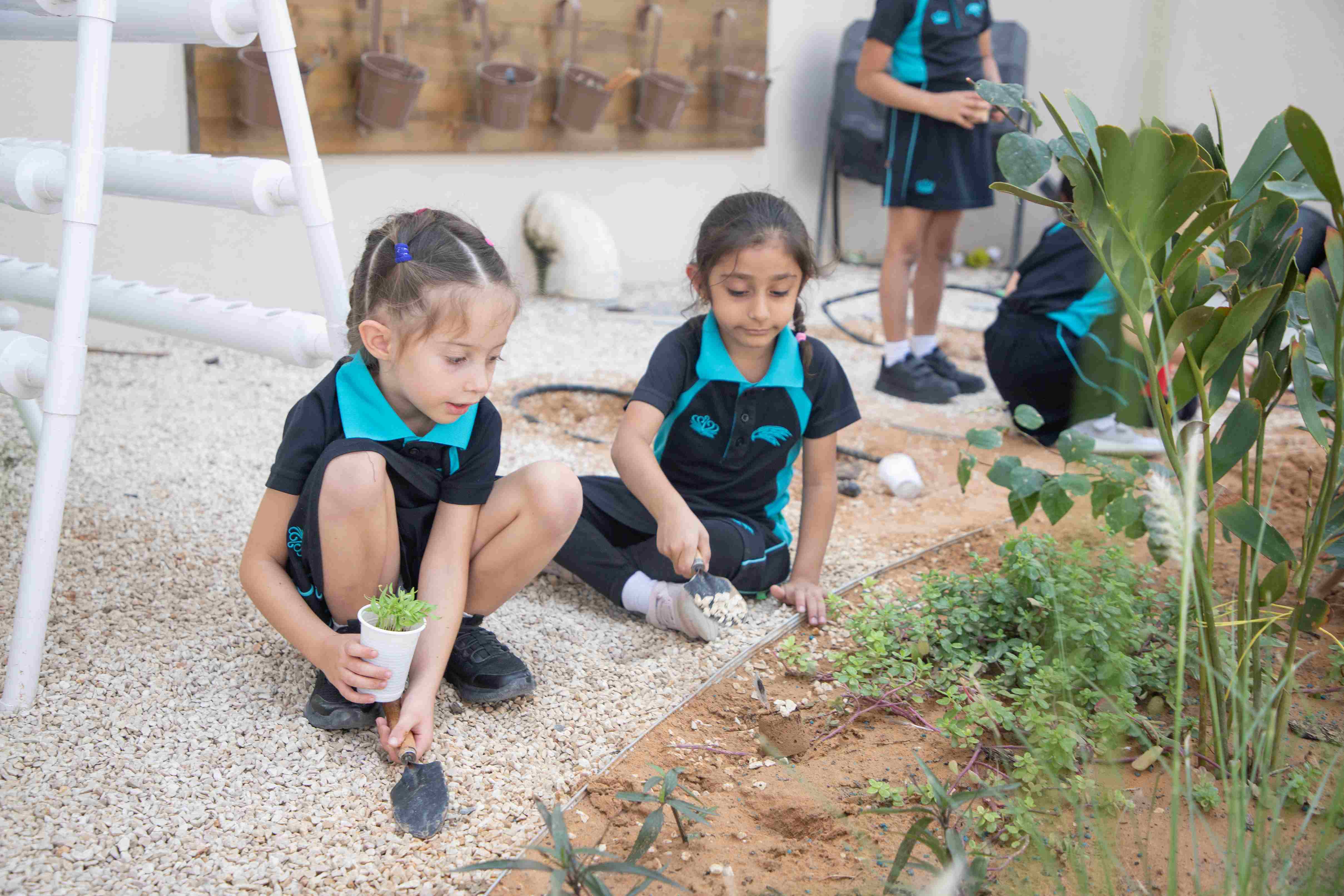 Planting in the Eco Eventure Area at BISAD
