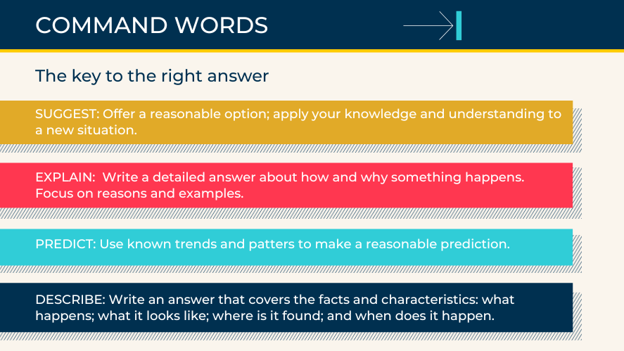 How to Revise Effectively for Exams: BIS Abu Dhabi’s Student Guide - How to Revise Effectively for Exams BIS Abu Dhabi Student Guide