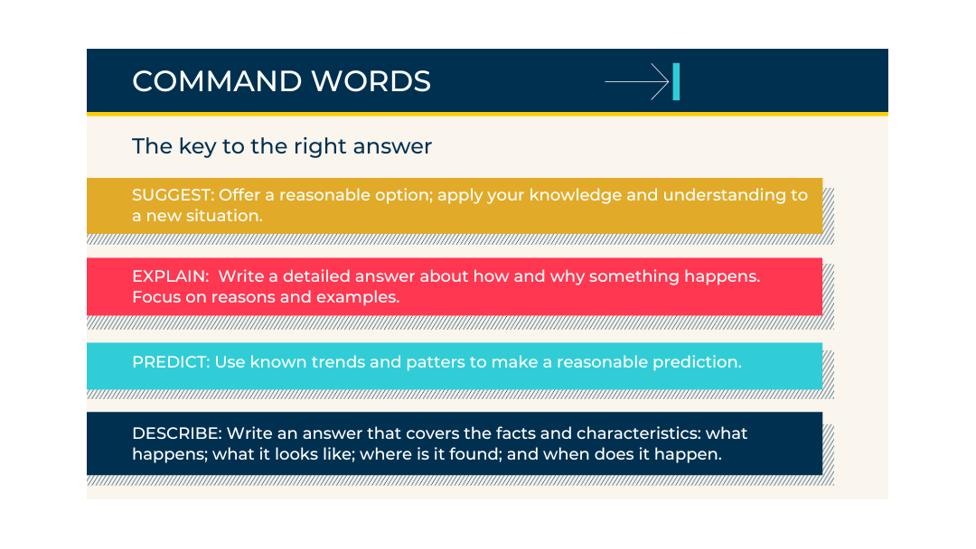 How to Revise Effectively for Exams: BIS Abu Dhabi’s Student Guide - How to Revise Effectively for Exams BIS Abu Dhabi Student Guide