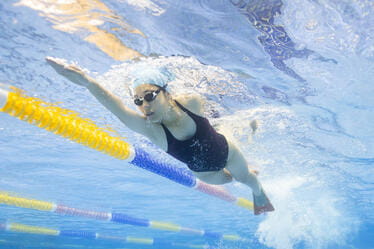 학업적 우수성 | 하노이 영국 국제학교(BIS HANOI) - Visual Time Line Tabs