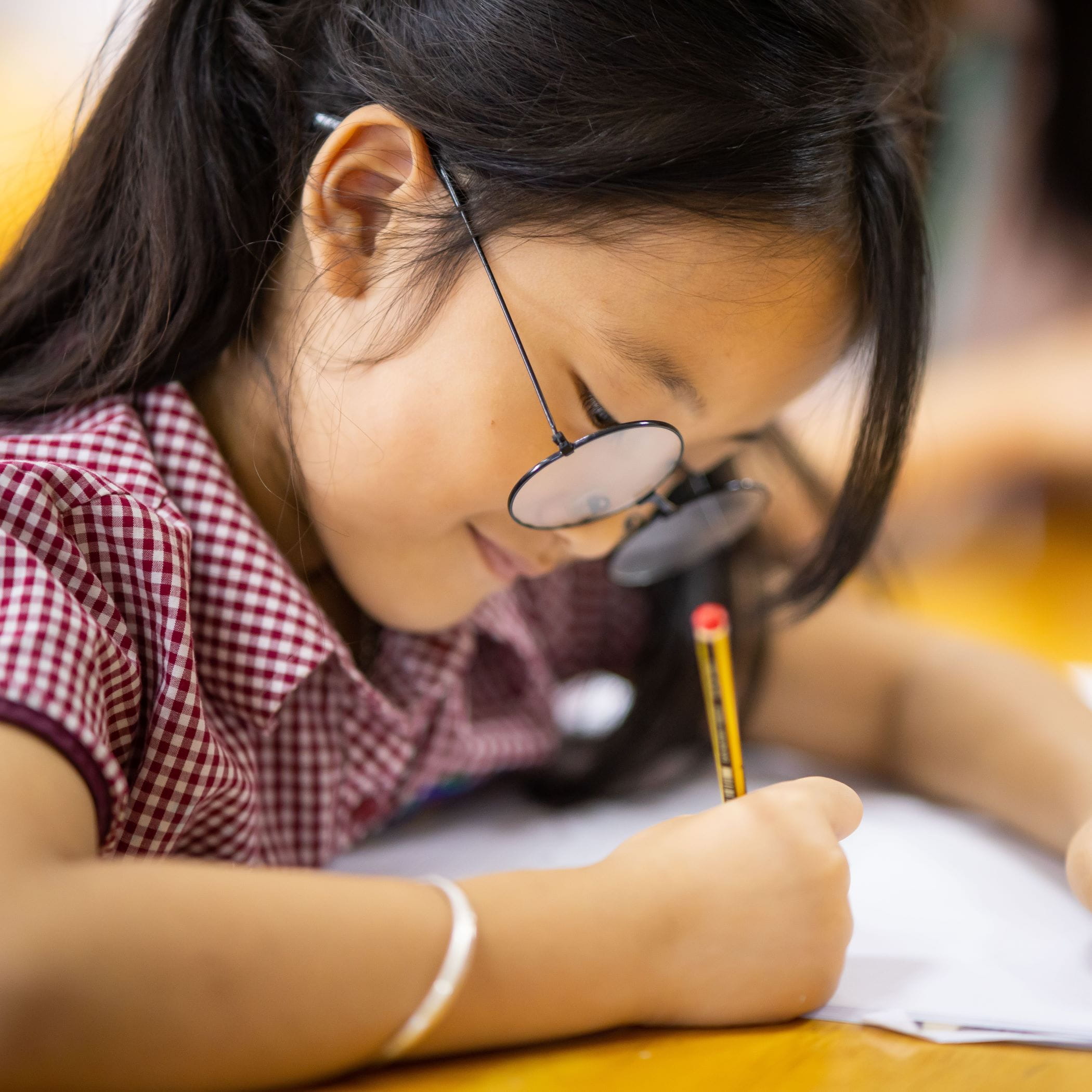 Primary girl studying Primary girl studying