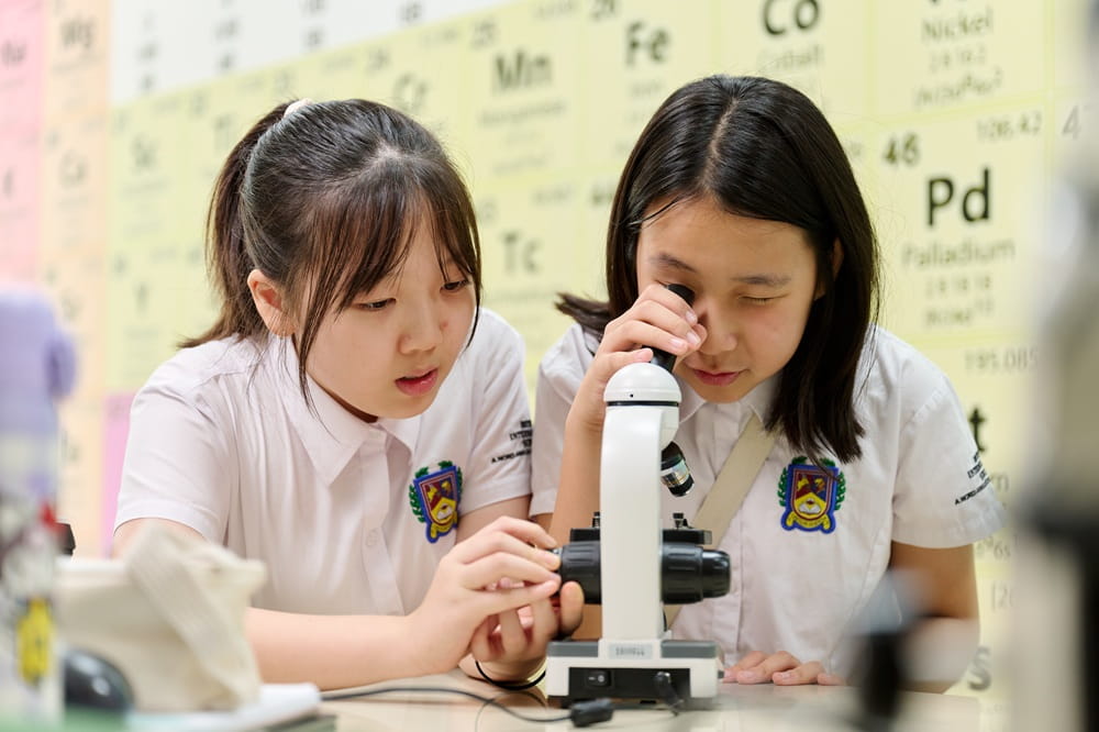 How international schools monitor student progression  - monitoring student progression international school