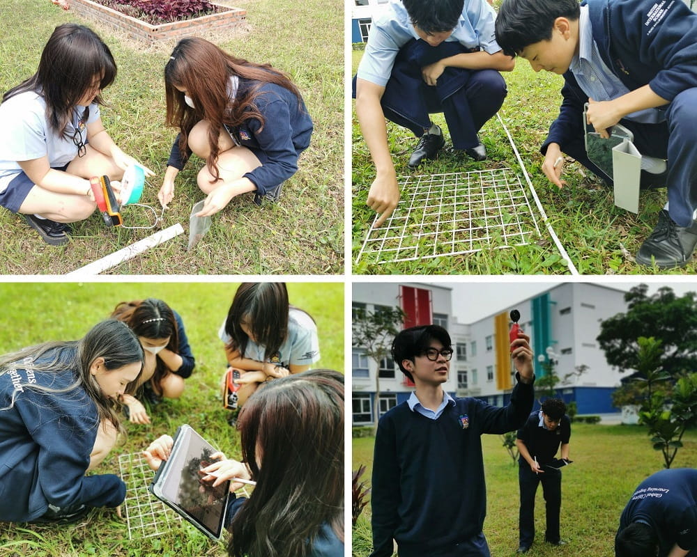 IBDP Science Year 12 BIS Hanoi