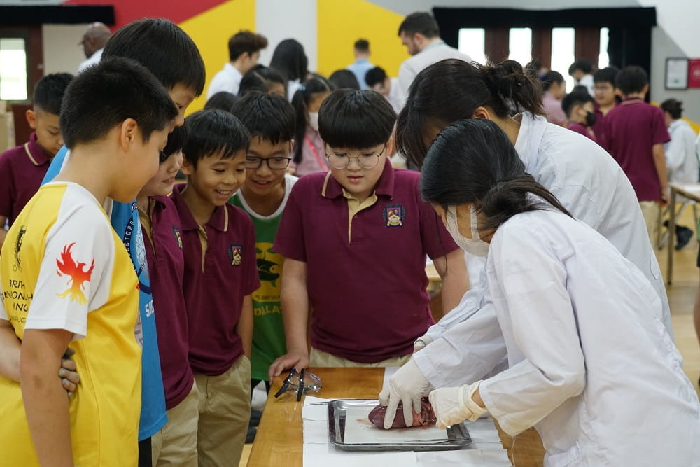 Science Week 2023 Y10 Heart Dissection | BIS Hanoi