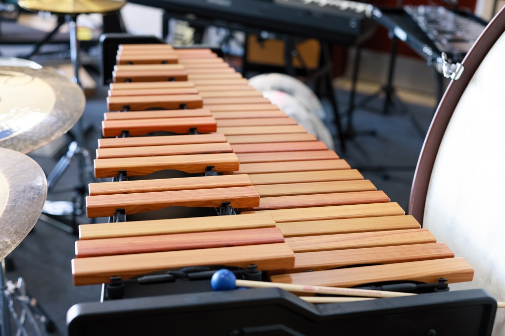 Music Instrument | British International School Hanoi