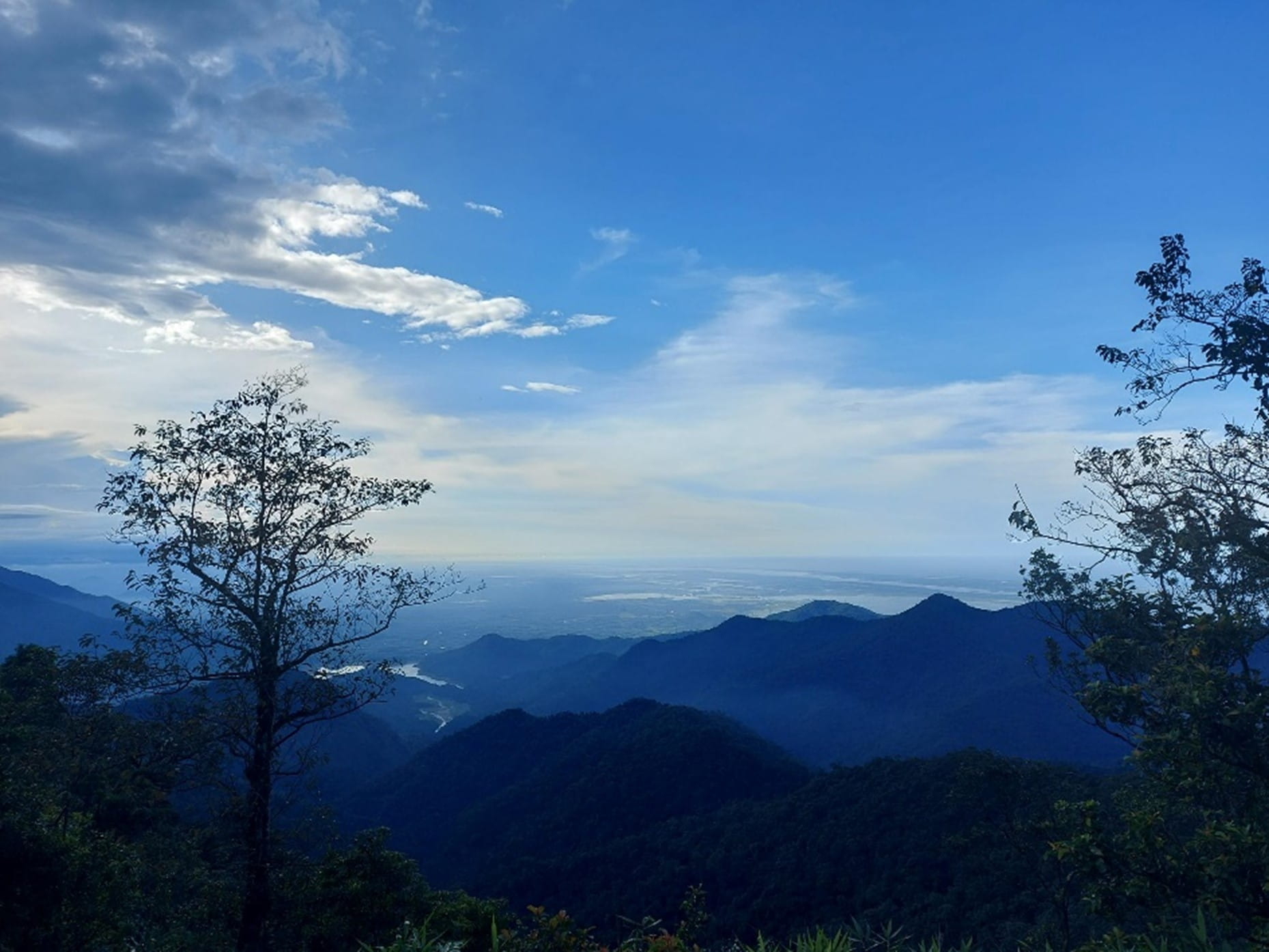 Year 13's Geographical and Scientific Journey at Bach Ma National Park | British International School Hanoi - Geo ESS trip
