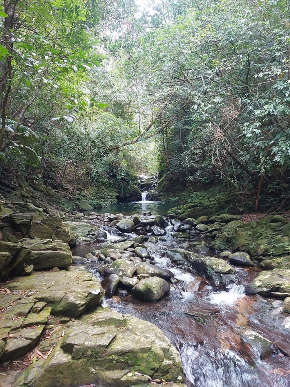 Year 13's Geographical and Scientific Journey at Bach Ma National Park | British International School Hanoi - Geo ESS trip