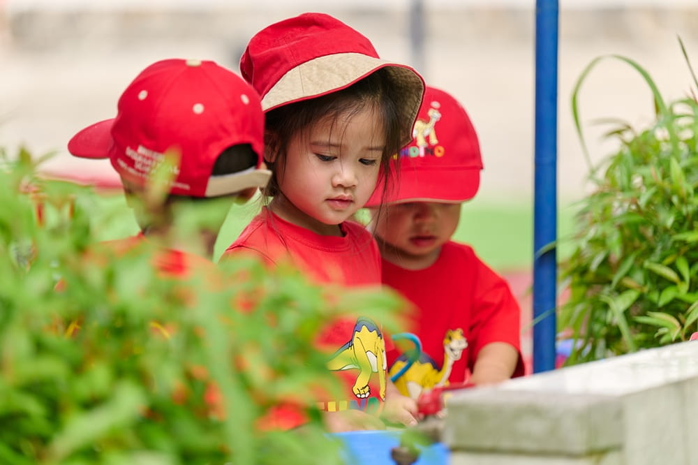 Student experience in the first year at an international school  - student experience first year international school