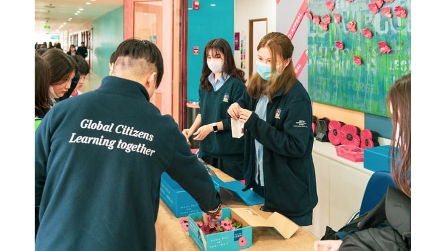 2020 11 05 Poppies DSC06170