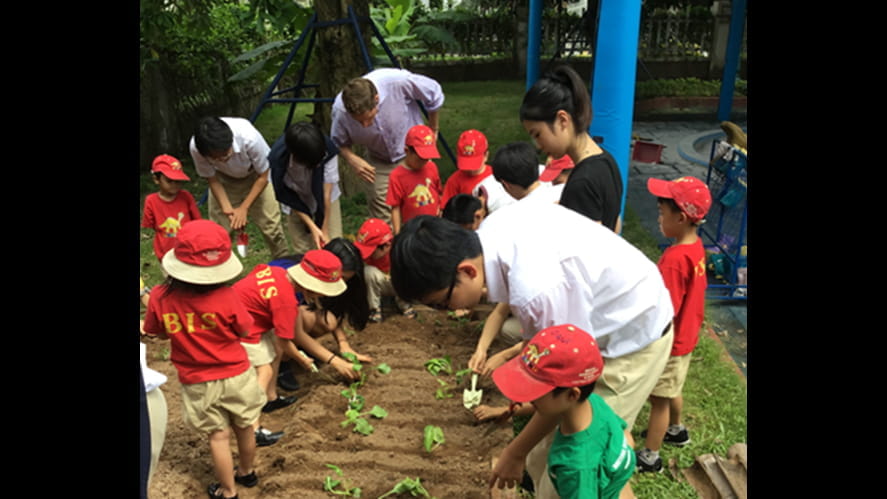 189061paddedw982h628of1f8f4f3picture20 copy