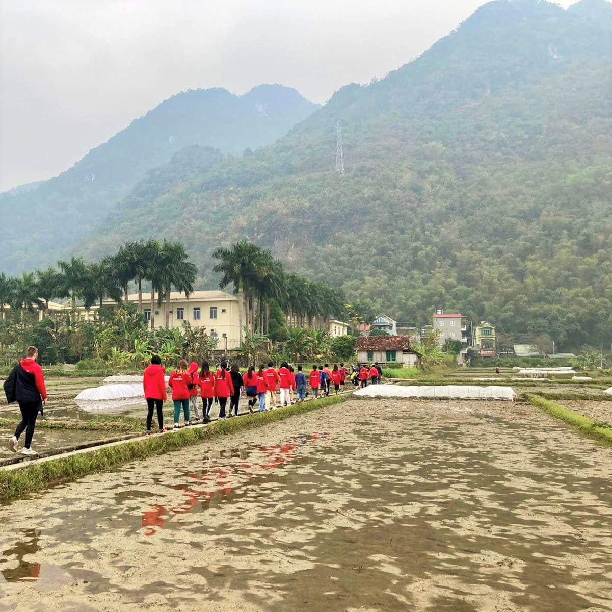 Parent Essentials | British International School Hanoi - Copy of 04 - Feature Cards Pattern - Creativity and Culture