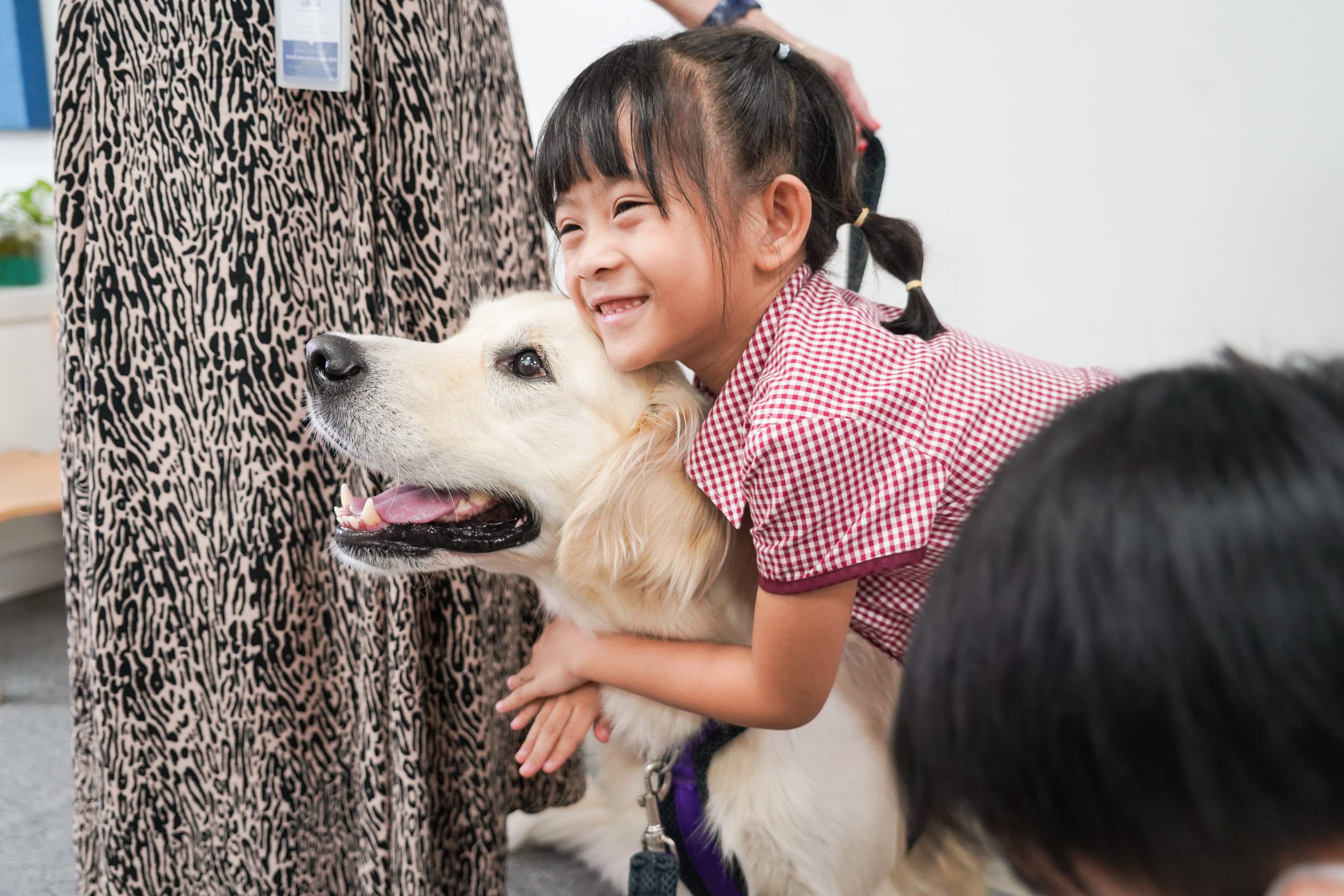 25 Reasons to Choose BIS HCMC - 25 Reasons to Choose BIS HCMC