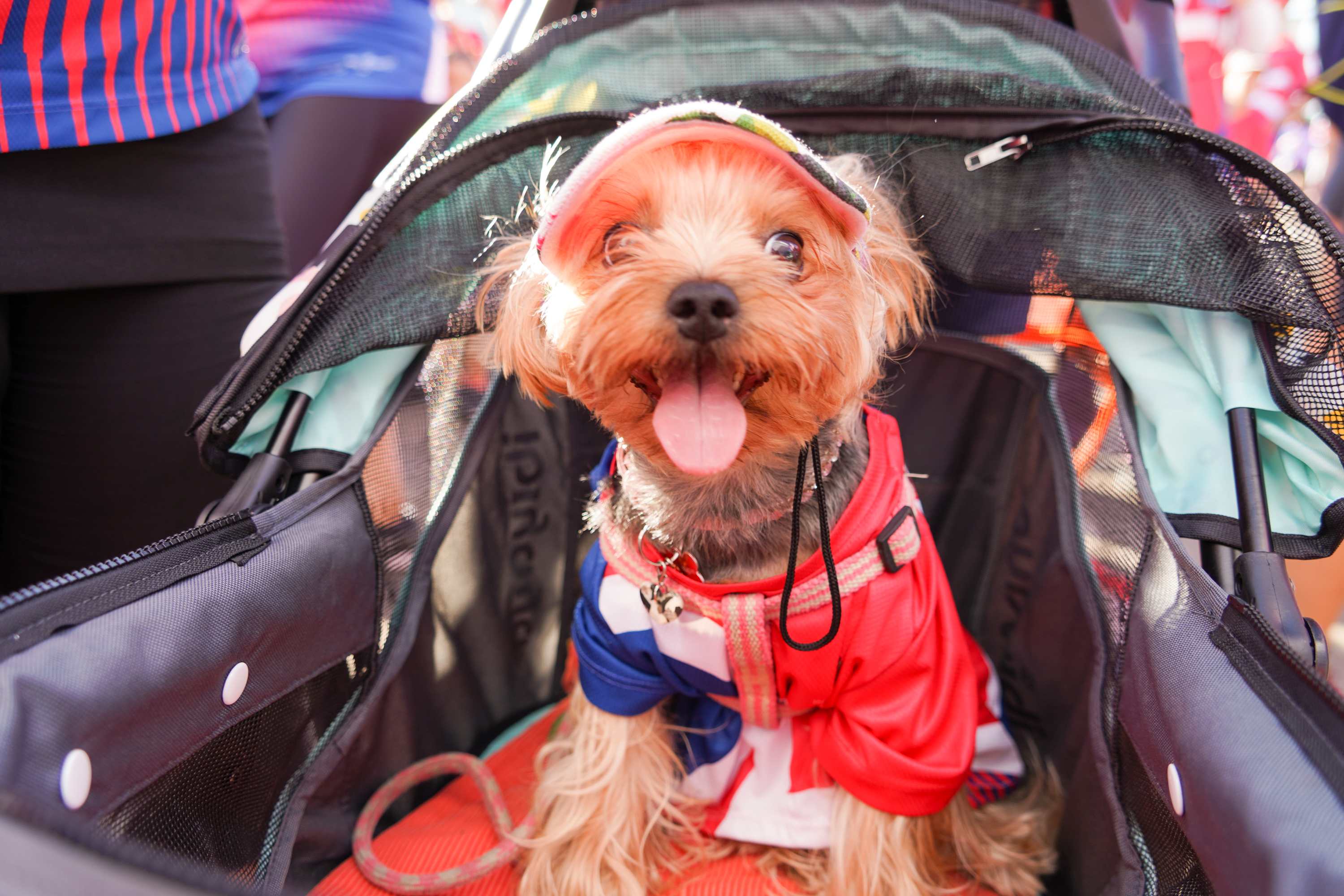 Community Spirit in Action - Carousel For News Detail 1