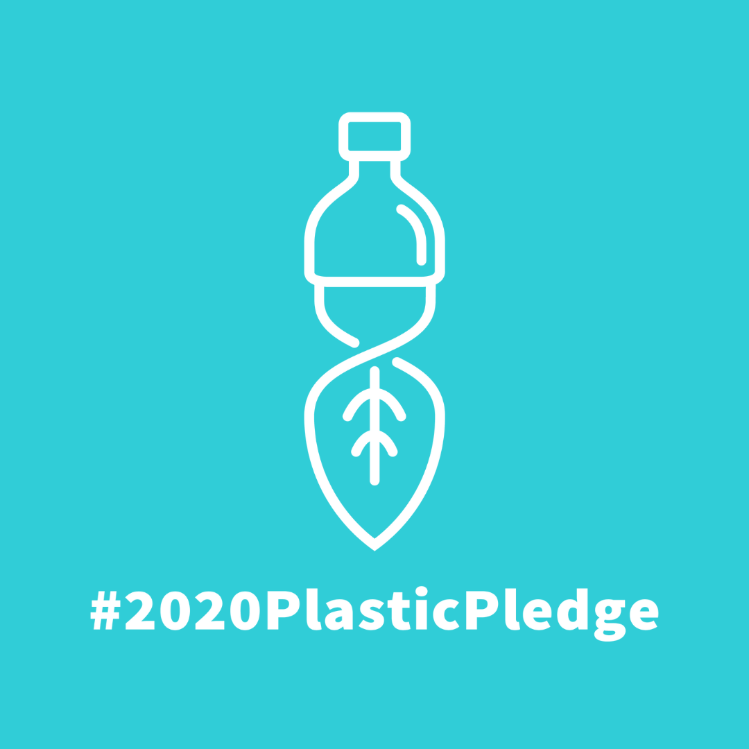 Sustainable education at the British International School HCMC - The growth of sustainability and global citizenship at BIS HCMC