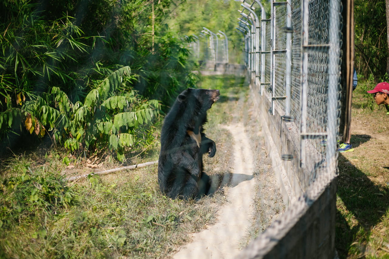 Learning Independence Primary Expeditions 2023 - Carousel For News Detail