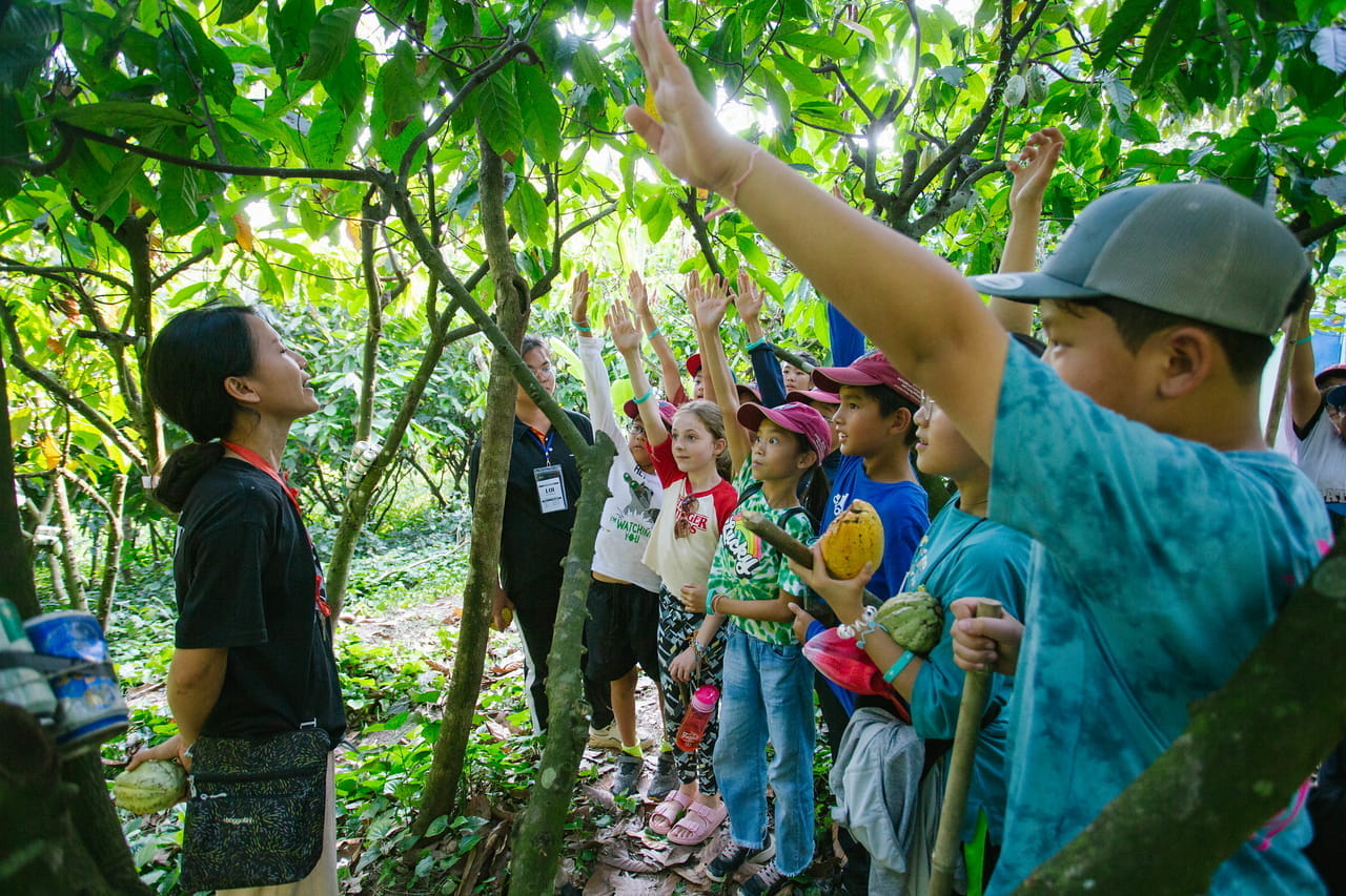 Learning Independence Primary Expeditions 2023 - Learning Independence Primary Expeditions 2023