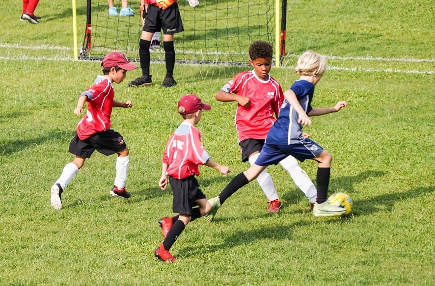 Junior Campus Weekly Update - 4th November 2022 - Junior Campus Weekly Update - 4th November 2022