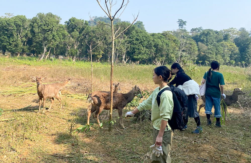 Secondary Expeditions 2026: Real-World Learning Across Vietnam and Asia, Told by Our Students - Y10 Cuc Phuong
