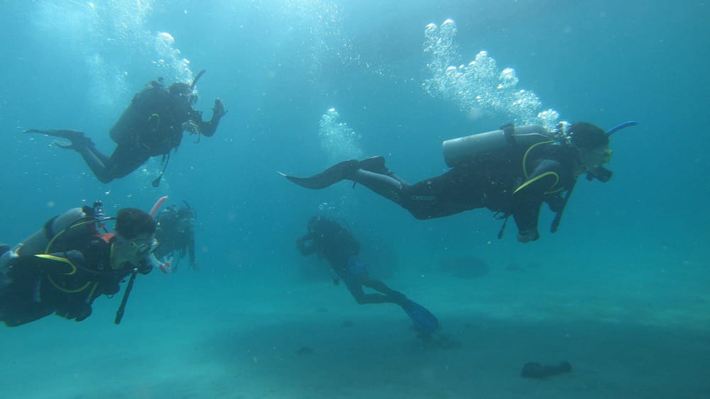 Secondary Expeditions 2026: Real-World Learning Across Vietnam and Asia, Told by Our Students - Year 12 Diving