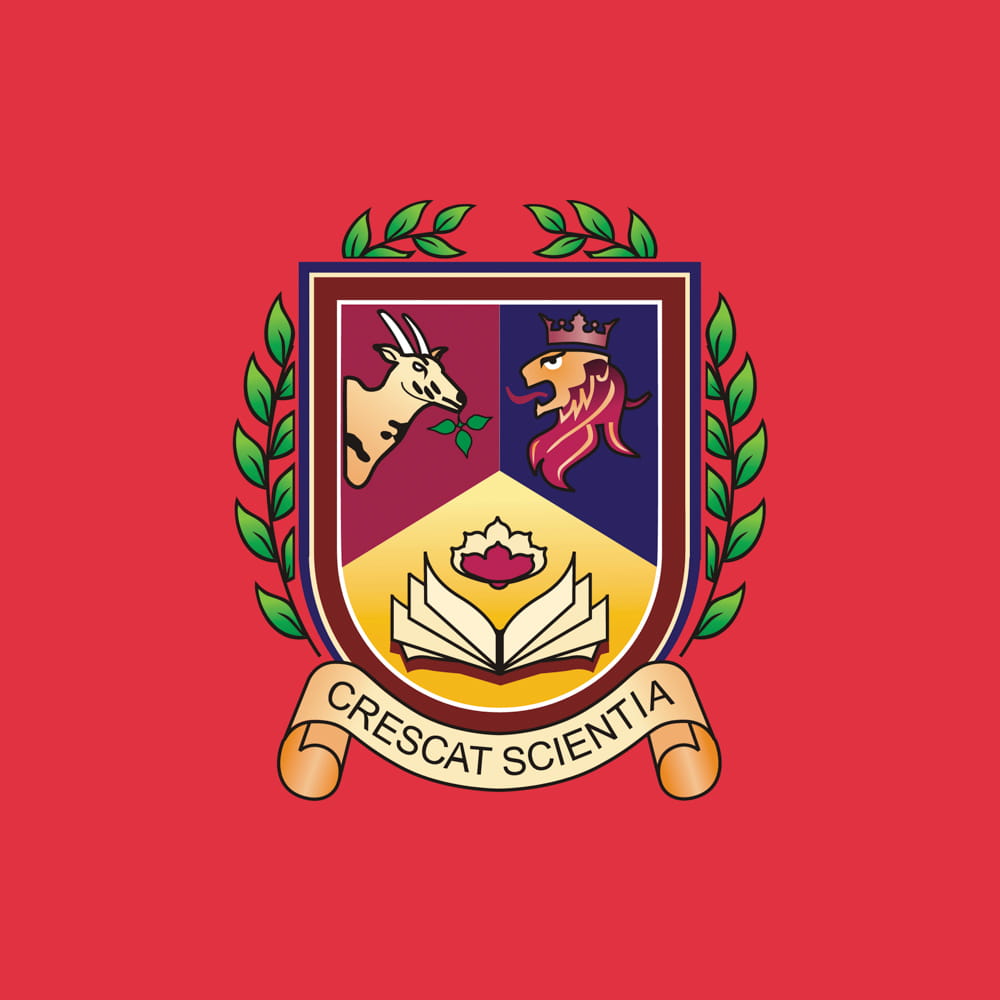 From Crest to Court - The Saola Comes to Life at BIS HCMC as our First-Ever Official Sports Mascot - From Crest to Court - The Saola Comes to Life at BIS HCMC as our First-Ever Official Sports Mascot