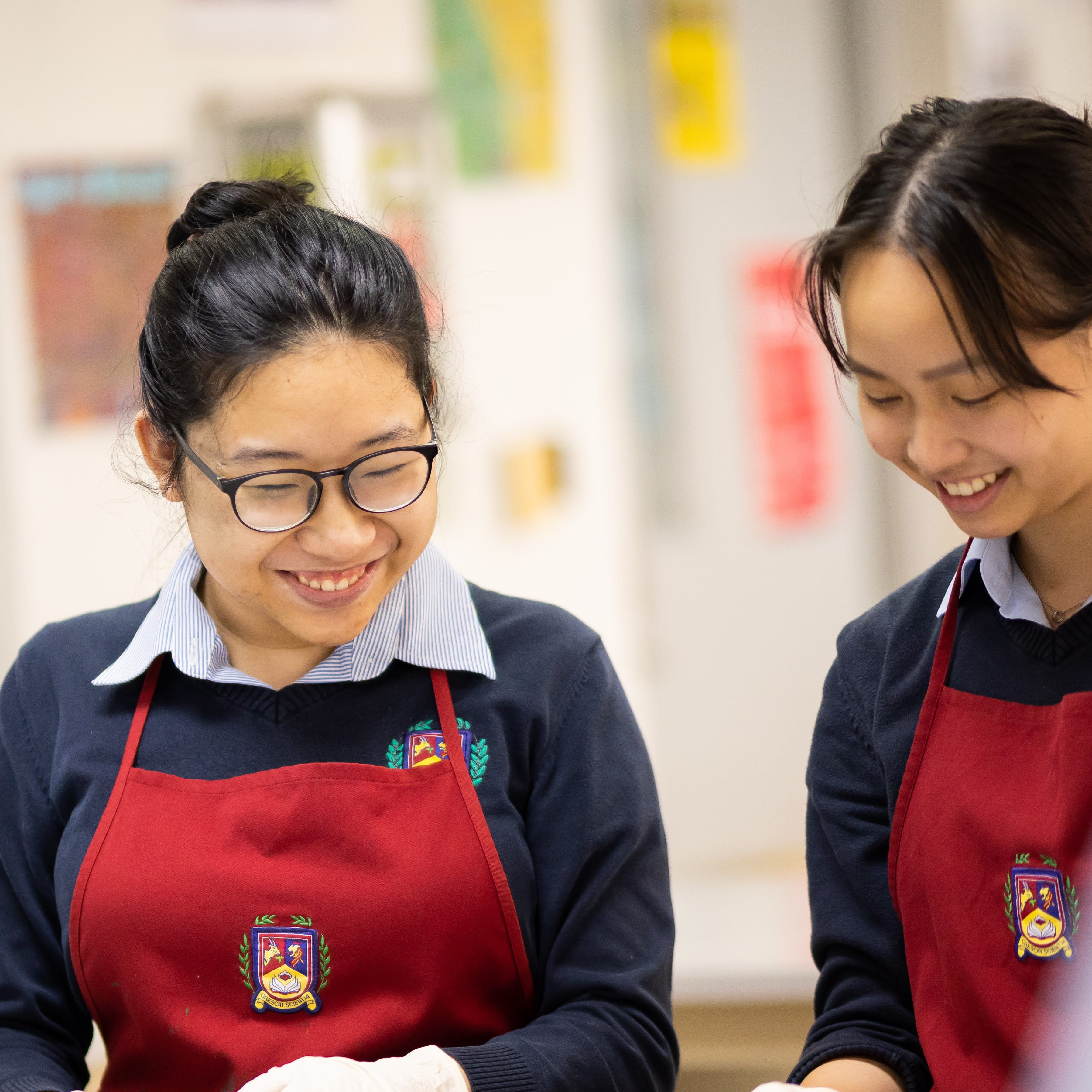 IB School in Ho Chi Minh City | BIS HCMC - Feature Cards Pattern