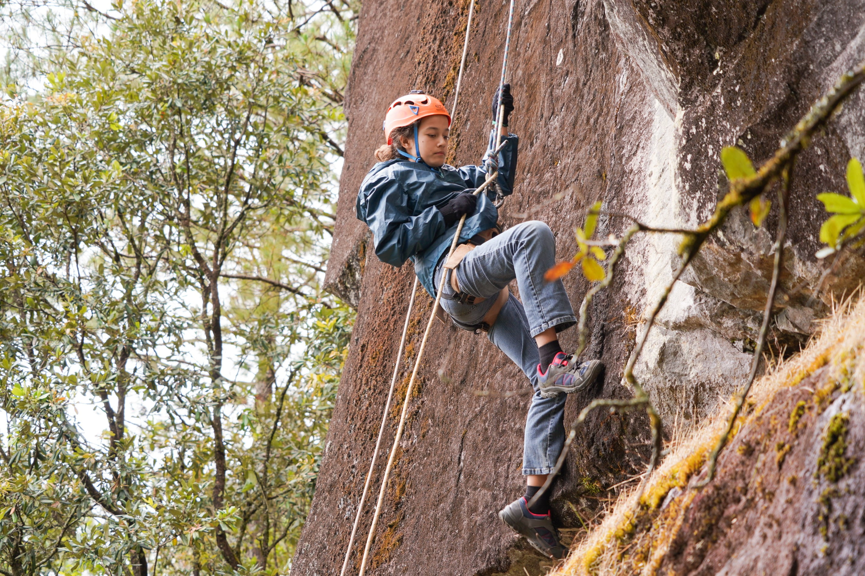 Key Stage 3 Curriculum | Ages 11-14 | BIS HCMC - Carousel Default