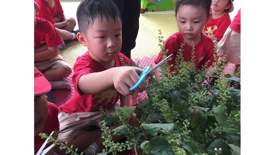 APP F2 Visit The LadyBug Farm | BIS HCMC - app-f2-visit-the-ladybug-farm