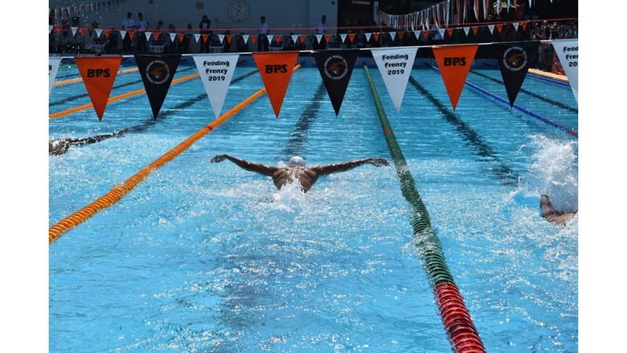 Bangkok Feeding Frenzy 2019 | British International School Ho Chi Minh City - bangkok-feeding-frenzy-2019