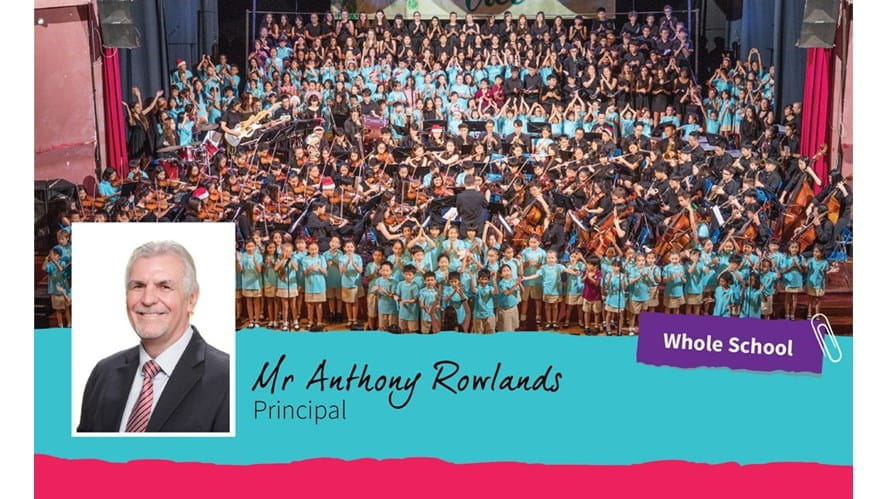 Mr Anthony Rowlands: Weekly Update 22/11/2019 - mr-anthony-rowlands-weekly-update-22-11-2019