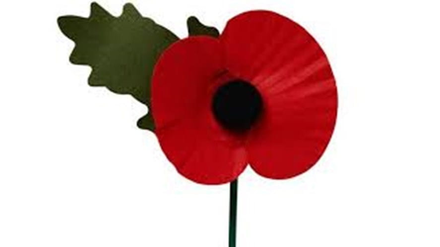 BIS Ho Chi Minh Mr Simon Higham weekly Update  Poppy