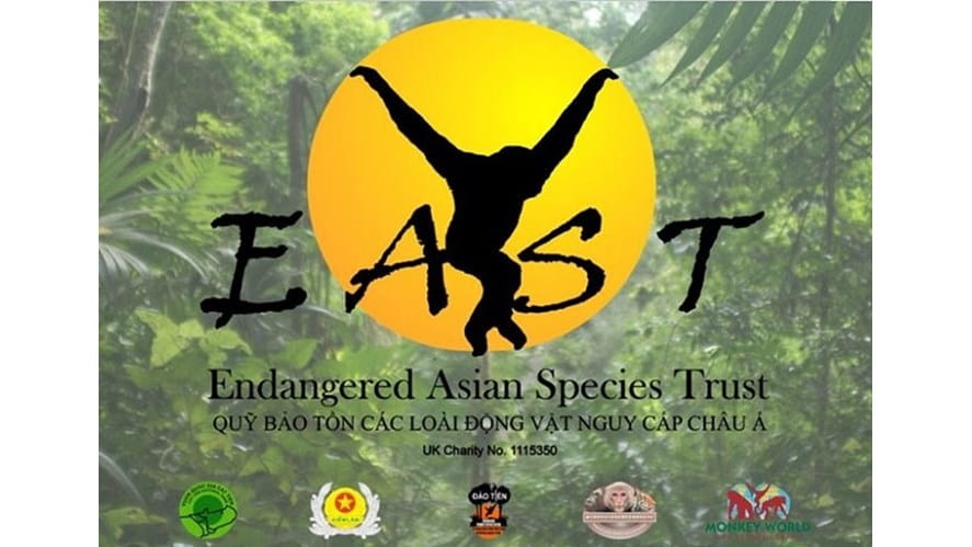 Year 6 4EAST