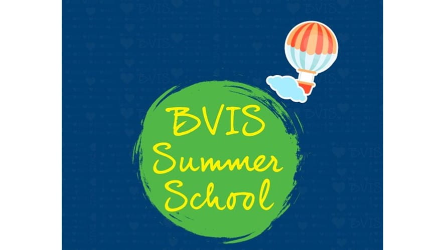 BVIS Summer School