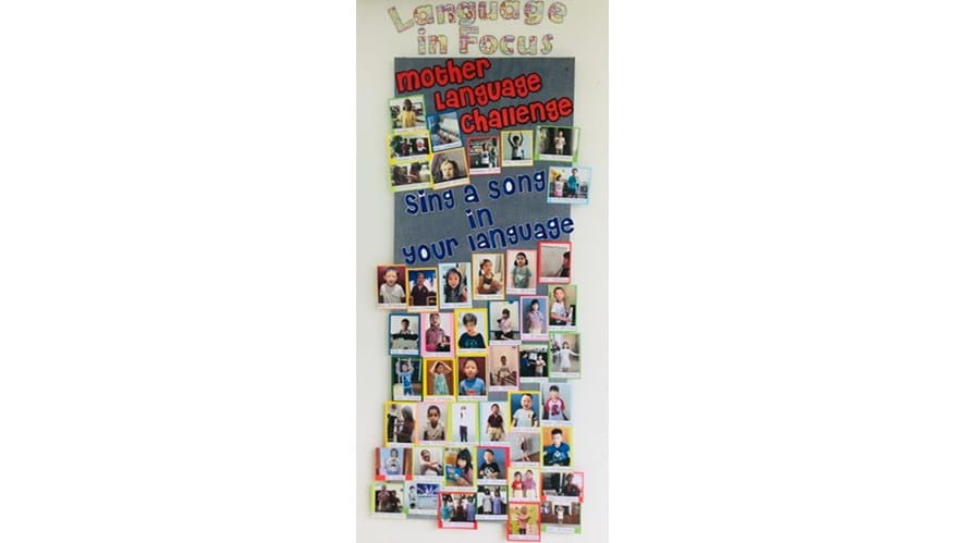 LiF Board 2