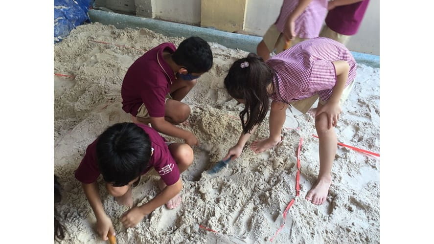 Y3 are Dino Diggers! - y3-are-dino-diggers