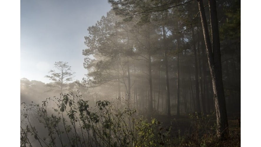 camping13755x503