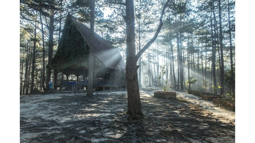 camping19755x503