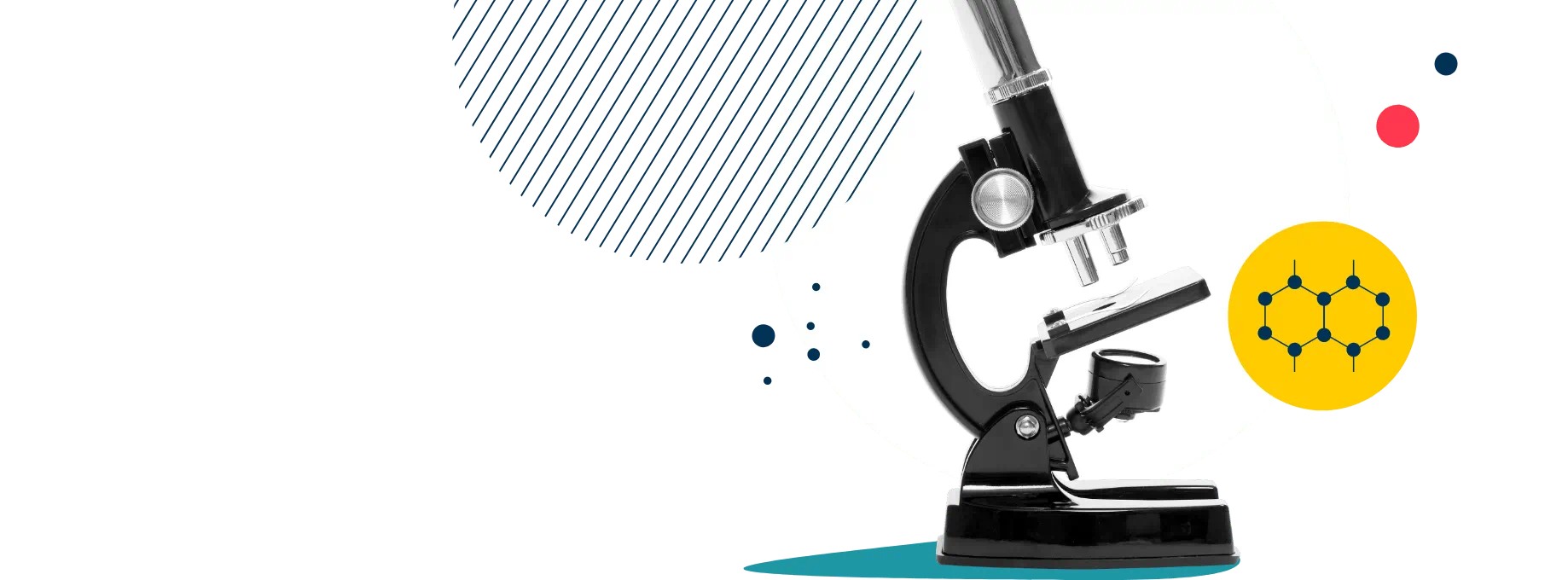 Private School in Ho Chi Minh City | BIS HCMC - Feature Cards Pattern