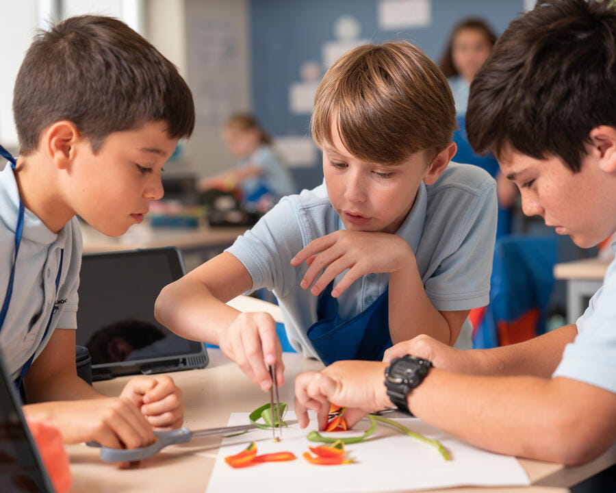 Image_BISH_Houston_2022_131