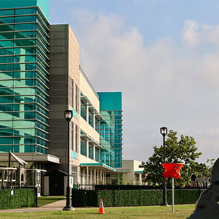 British International School of Houston Summer Camp | BIS Houston - Feature Cards Pattern