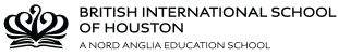 BIS Houston logo