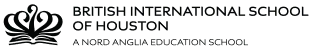 BIS Houston logo