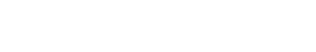 BIS Houston Logo