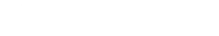 BIS Houston Logo