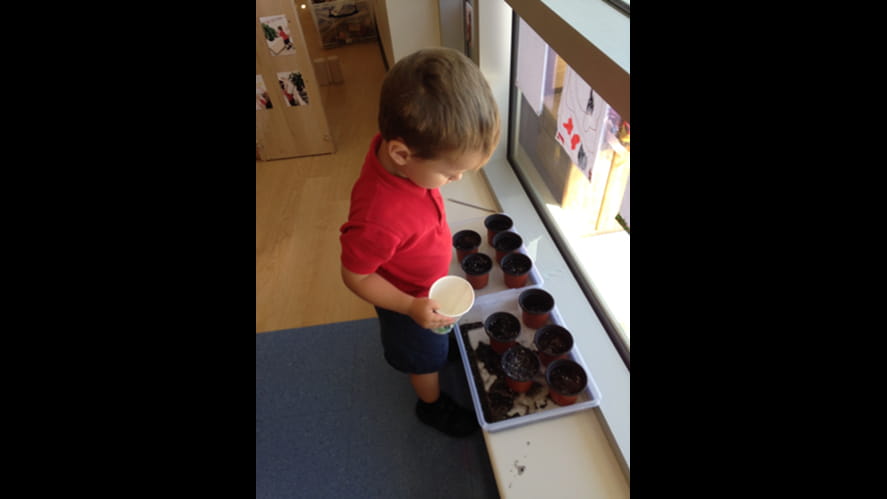 Baby Plants are Growing-baby-plants-are-growing-EYPicture10